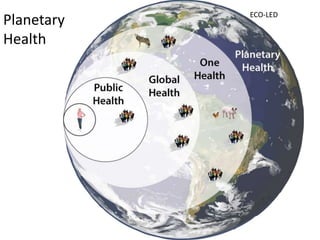 One health, three healths, many healths