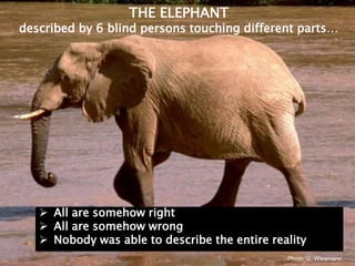 One health, three healths, many healths