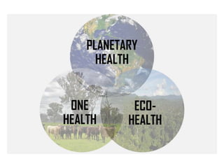 One health, three healths, many healths