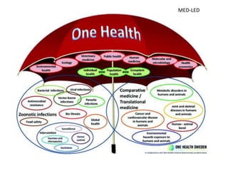 One health, three healths, many healths