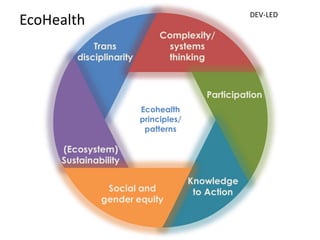 One health, three healths, many healths