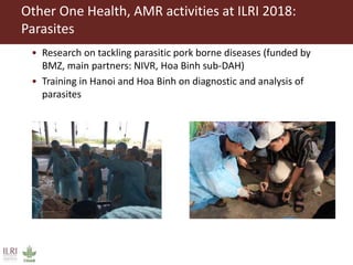 Regional symposium on pig research and ILRI One Health activities updates Q1 2019