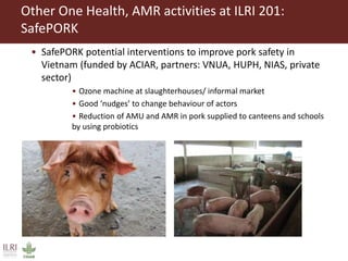 Regional symposium on pig research and ILRI One Health activities updates Q1 2019