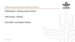 One Health and zoonoses projects at the International Livestock Research Institute