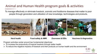 One Health and zoonoses projects at the International Livestock Research Institute
