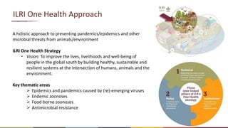 One Health and zoonoses projects at the International Livestock Research Institute