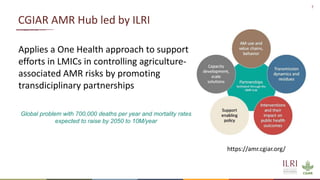 One Health and zoonoses projects at the International Livestock Research Institute