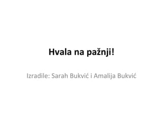 Hvala na pažnji!
Izradile: Sarah Bukvić i Amalija Bukvić

 