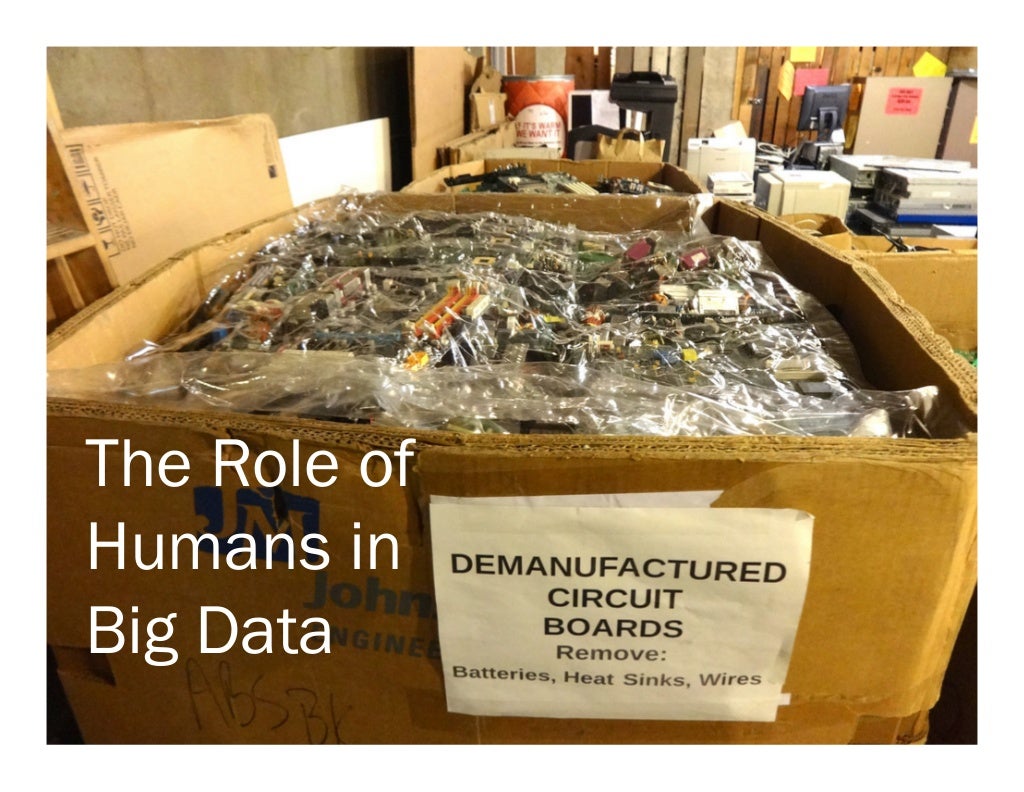 The Role of Humans in Big Data
