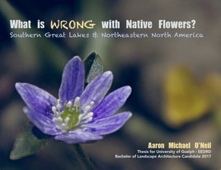 What is WRONG with Native Flowers?
Southern Great Lakes & Northeastern North America
Aaron Michael O'Neil
Thesis for University of Guelph - SEDRD
Bachelor of Landscape Architecture Candidate 2017
 