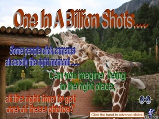One In A Billion Shots.... Can you imagine  being  in the right place, Some people click cameras  at exactly the right moment ...... Click the hand to advance slides at the right time to get  one of these photos?  