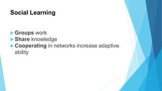 Social Learning
 Groups work
 Share knowledge
 Cooperating in networks increase adaptive
ability
 
