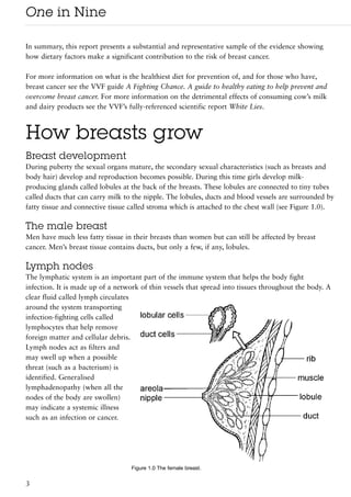 One in Nine

In summary, this report presents a substantial and representative sample of the evidence showing
how dietary factors make a significant contribution to the risk of breast cancer.

For more information on what is the healthiest diet for prevention of, and for those who have,
breast cancer see the VVF guide A Fighting Chance. A guide to healthy eating to help prevent and
overcome breast cancer. For more information on the detrimental effects of consuming cow’s milk
and dairy products see the VVF’s fully-referenced scientific report White Lies.



How breasts grow
Breast development
During puberty the sexual organs mature, the secondary sexual characteristics (such as breasts and
body hair) develop and reproduction becomes possible. During this time girls develop milk-
producing glands called lobules at the back of the breasts. These lobules are connected to tiny tubes
called ducts that can carry milk to the nipple. The lobules, ducts and blood vessels are surrounded by
fatty tissue and connective tissue called stroma which is attached to the chest wall (see Figure 1.0).

The male breast
Men have much less fatty tissue in their breasts than women but can still be affected by breast
cancer. Men’s breast tissue contains ducts, but only a few, if any, lobules.

Lymph nodes
The lymphatic system is an important part of the immune system that helps the body fight
infection. It is made up of a network of thin vessels that spread into tissues throughout the body. A
clear fluid called lymph circulates
around the system transporting
infection-fighting cells called
lymphocytes that help remove
foreign matter and cellular debris.
Lymph nodes act as filters and
may swell up when a possible
threat (such as a bacterium) is
identified. Generalised
lymphadenopathy (when all the
nodes of the body are swollen)
may indicate a systemic illness
such as an infection or cancer.




                                   Figure 1.0 The female breast.


3
 