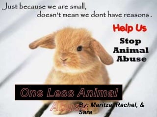 One Less Animal Abuse By: Maritza, Rachel, & Sara 