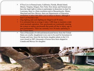 Elephants who perform in circuses are often kept in chains for as long as 23 hours a day from the time they are babies.