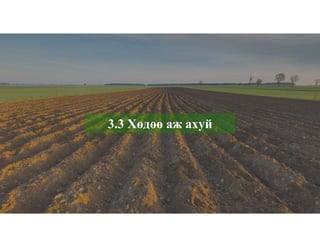 3.3 Хөдөө аж ахуй
 