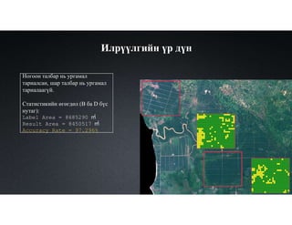 Ногоон талбар нь ургамал
тариалсан, шар талбар нь ургамал
тариалаагүй.
Статистикийн өгөгдөл (B ба D бүс
нутаг):
Label Area = 8685290 ㎡
Result Area = 8450517 ㎡
Accuracy Rate = 97.296%
Илрүүлгийн үр дүн
 