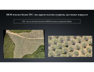 DEM өгөгдөл болон ЗТС- ны дүрсэн мэдээнд суурилж, дал модыг илрүүлэх
ЗТС- ны эх өгөгдөл ихэвчлэн DEM өгөгдөлд суурилсан байна.
 