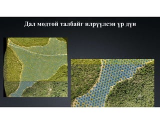 Дал модтой талбайг илрүүлсэн үр дүн
 