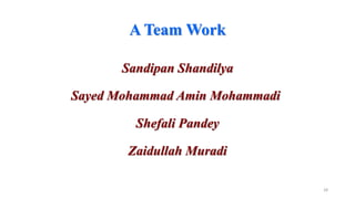 A Team Work
Sandipan Shandilya

Sayed Mohammad Amin Mohammadi
Shefali Pandey
Zaidullah Muradi
28

 