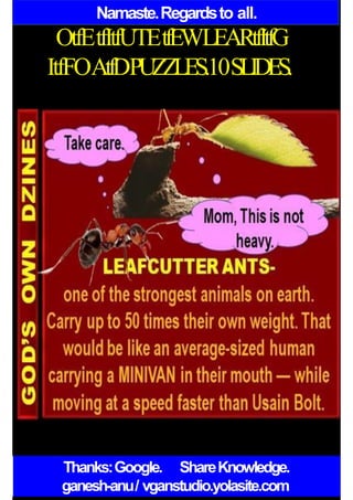 Namaste.Regardsto all.
OtfEtfItfUTEtfEWLEARtfItfG
ItfFOAtfDPUZZLES.10SLIDES.
Thanks:Google. ShareKnowledge.
ganesh-anu/ vganstudio.yolasite.com
 