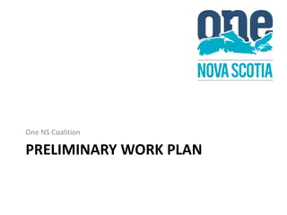 One NS Coalition 
PRELIMINARY WORK PLAN 
 
