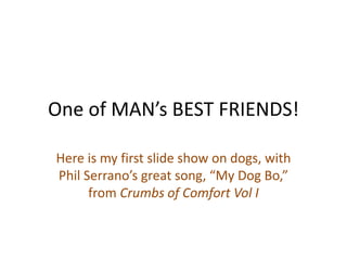 One of MAN’s BEST FRIENDS!
Here is my first slide show on dogs, with
Phil Serrano’s great song, “My Dog Bo,”
from Crumbs of Comfort Vol I
 