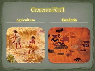 Agricultura Gandería
 