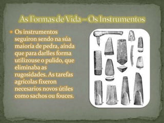  Os instrumentos
seguiron sendo na súa
maioría de pedra, aínda
que para darlles forma
utilizouse o pulido, que
eliminaba as
rugosidades. As tarefas
agrícolas fixeron
necesarios novos útiles
como sachos ou fouces.
 