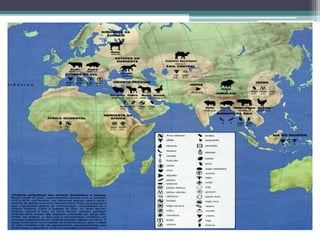 O neolítico e a revolução agrícola