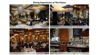 Dining Experiences at The Palace
Celebrities The Beach Bar & Grill
Tagine Olives
 