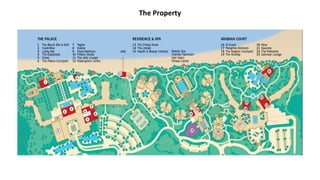 The Property
 
