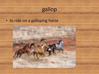 gallop
• to ride on a galloping horse
 
