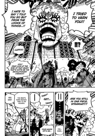 One Piece 567
