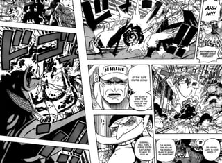 One Piece 567