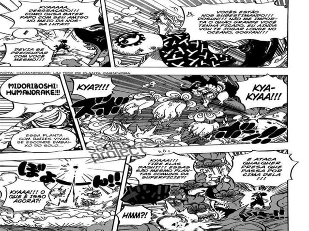 One piece 646 | PPTX