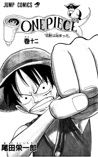 One piece volume 12(100-108)