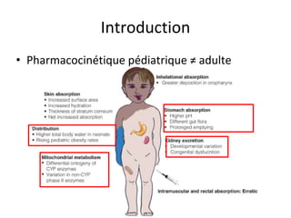 Introduction
• Pharmacocinétique pédiatrique ≠ adulte
 
