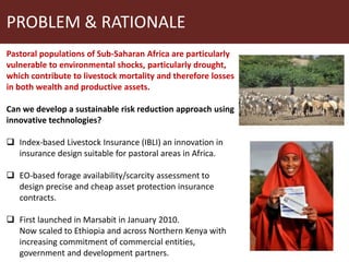 Earth observation applications in Index-based Livestock Insurance (IBLI): Challenges and opportunities