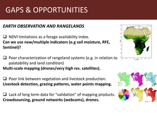 Earth observation applications in Index-based Livestock Insurance (IBLI): Challenges and opportunities