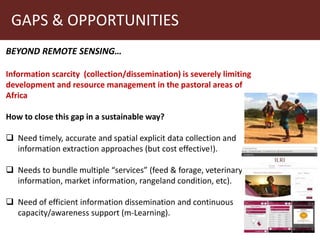 Earth observation applications in Index-based Livestock Insurance (IBLI): Challenges and opportunities