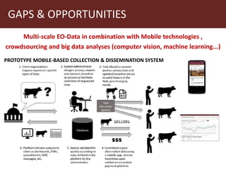 Earth observation applications in Index-based Livestock Insurance (IBLI): Challenges and opportunities