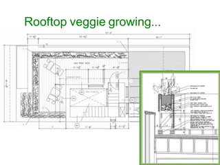 Rooftop veggie growing…
 