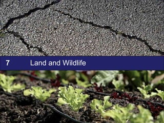 7   Land and Wildlife
 