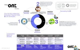 1
2
© ONE : Our Network Evolution, LLP
Works
PROPOSE
Project Based
Performance
PROSPER 
Returns on
Reinvestments
PRODUCE 
...