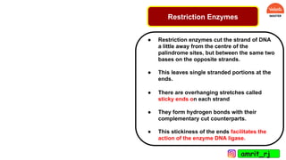 Restriction Enzymes
● Restriction enzymes cut the strand of DNA
a little away from the centre of the
palindrome sites, but between the same two
bases on the opposite strands.
● This leaves single stranded portions at the
ends.
● There are overhanging stretches called
sticky ends on each strand
● They form hydrogen bonds with their
complementary cut counterparts.
● This stickiness of the ends facilitates the
action of the enzyme DNA ligase.
amrit_rj
 