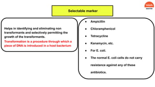 Helps in identifying and eliminating non
transformants and selectively permitting the
growth of the transformants.
Transformation is a procedure through which a
piece of DNA is introduced in a host bacterium
Selectable marker
● Ampicillin
● Chloramphenicol
● Tetracycline
● Kanamycin, etc.
● For E. coli.
● The normal E. coli cells do not carry
resistance against any of these
antibiotics.
 