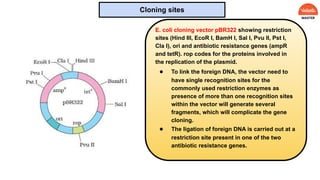 E. coli cloning vector pBR322 showing restriction
sites (Hind III, EcoR I, BamH I, Sal I, Pvu II, Pst I,
Cla I), ori and antibiotic resistance genes (ampR
and tetR). rop codes for the proteins involved in
the replication of the plasmid.
● To link the foreign DNA, the vector need to
have single recognition sites for the
commonly used restriction enzymes as
presence of more than one recognition sites
within the vector will generate several
fragments, which will complicate the gene
cloning.
● The ligation of foreign DNA is carried out at a
restriction site present in one of the two
antibiotic resistance genes.
Cloning sites
 
