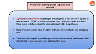● Agrobacterium tumefactions (pathogen of dicot plant) is able to deliver a piece of
DNA known as ‘T-DNA” to transform normal plant cells into a tumor and direct
these tumor cells to produce the chemicals required by the pathogen.
● Retroviruses in animals have the ability to transform normal cells into cancerous
cells.
● The tumor inducing (Ti) plasmid of Agrobacterium tumefaciens has been modified
into cloning vector having no more pathogenic to plant.
Vectors for cloning genes in plants and
animals
 
