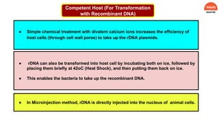 Competent Host (For Transformation
with Recombinant DNA)
● Simple chemical treatment with divalent calcium ions increases the efficiency of
host cells (through cell wall pores) to take up the rDNA plasmids.
● In Microinjection method, rDNA is directly injected into the nucleus of animal cells.
● rDNA can also be transformed into host cell by incubating both on ice, followed by
placing them briefly at 42oC (Heat Shock), and then putting them back on ice.
● This enables the bacteria to take up the recombinant DNA.
 